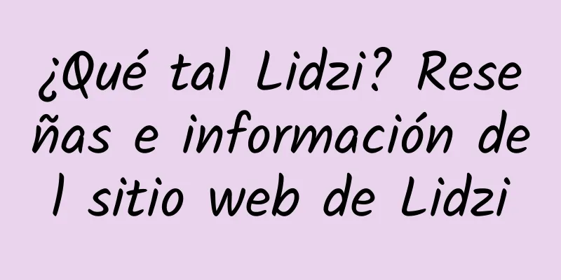 ¿Qué tal Lidzi? Reseñas e información del sitio web de Lidzi