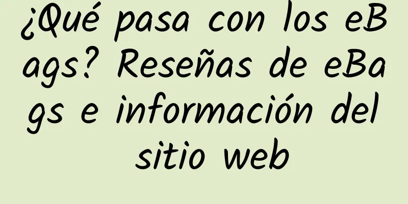¿Qué pasa con los eBags? Reseñas de eBags e información del sitio web