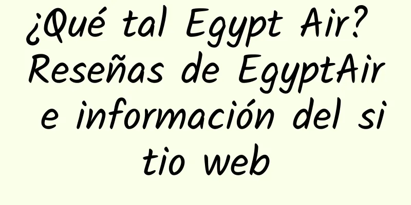¿Qué tal Egypt Air? Reseñas de EgyptAir e información del sitio web