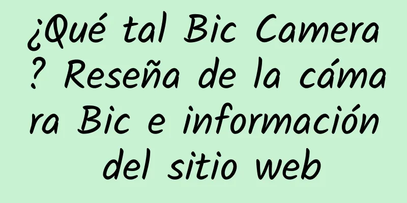 ¿Qué tal Bic Camera? Reseña de la cámara Bic e información del sitio web