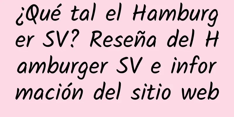 ¿Qué tal el Hamburger SV? Reseña del Hamburger SV e información del sitio web