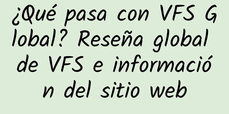 ¿Qué pasa con VFS Global? Reseña global de VFS e información del sitio web