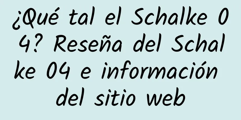 ¿Qué tal el Schalke 04? Reseña del Schalke 04 e información del sitio web