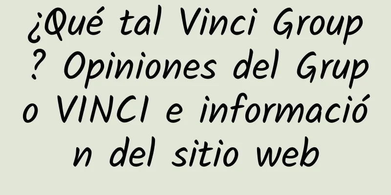 ¿Qué tal Vinci Group? Opiniones del Grupo VINCI e información del sitio web