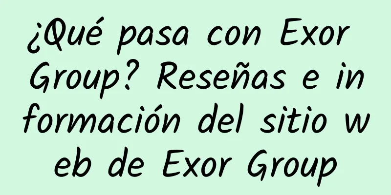 ¿Qué pasa con Exor Group? Reseñas e información del sitio web de Exor Group