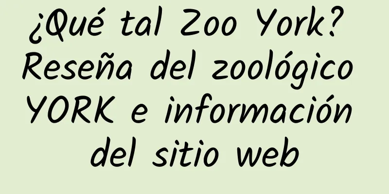 ¿Qué tal Zoo York? Reseña del zoológico YORK e información del sitio web