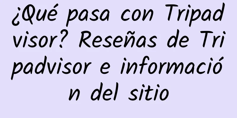 ¿Qué pasa con Tripadvisor? Reseñas de Tripadvisor e información del sitio