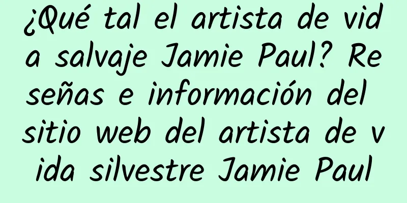 ¿Qué tal el artista de vida salvaje Jamie Paul? Reseñas e información del sitio web del artista de vida silvestre Jamie Paul
