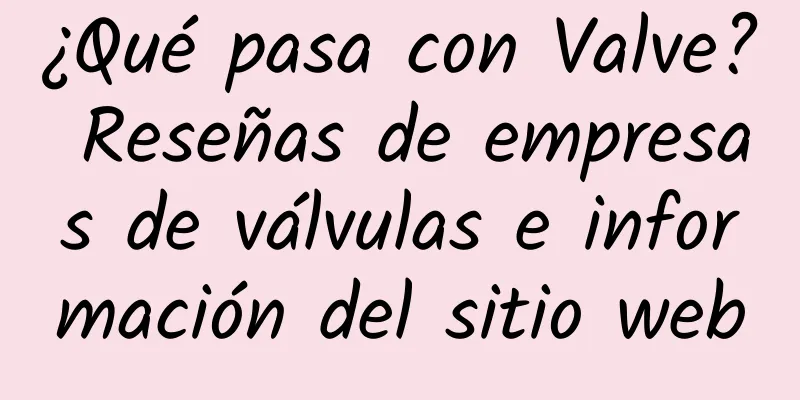 ¿Qué pasa con Valve? Reseñas de empresas de válvulas e información del sitio web