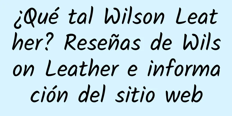¿Qué tal Wilson Leather? Reseñas de Wilson Leather e información del sitio web