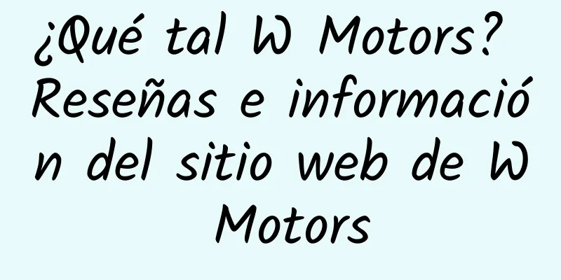 ¿Qué tal W Motors? Reseñas e información del sitio web de W Motors