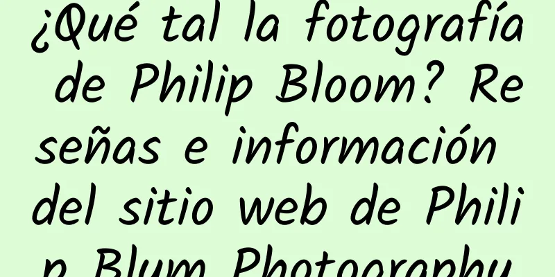 ¿Qué tal la fotografía de Philip Bloom? Reseñas e información del sitio web de Philip Blum Photography