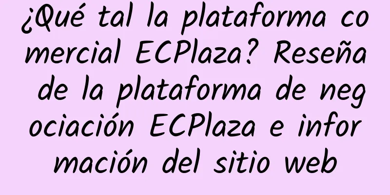 ¿Qué tal la plataforma comercial ECPlaza? Reseña de la plataforma de negociación ECPlaza e información del sitio web