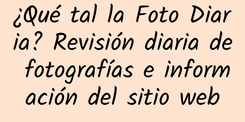¿Qué tal la Foto Diaria? Revisión diaria de fotografías e información del sitio web