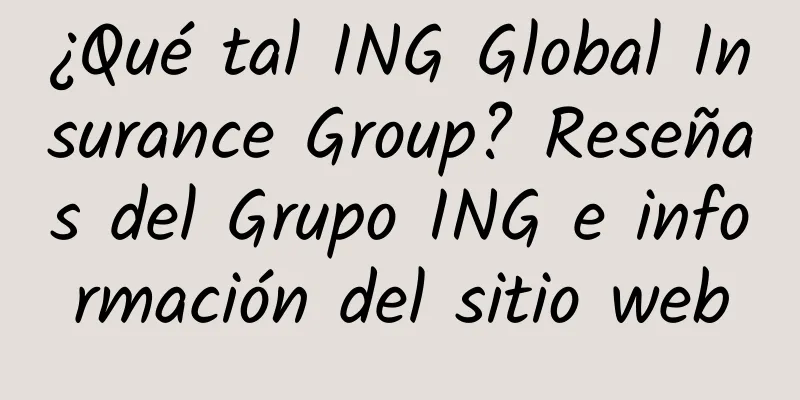 ¿Qué tal ING Global Insurance Group? Reseñas del Grupo ING e información del sitio web