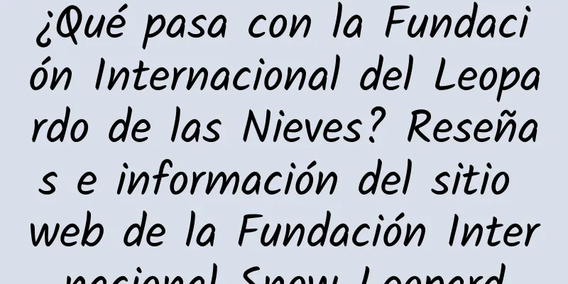 ¿Qué pasa con la Fundación Internacional del Leopardo de las Nieves? Reseñas e información del sitio web de la Fundación Internacional Snow Leopard