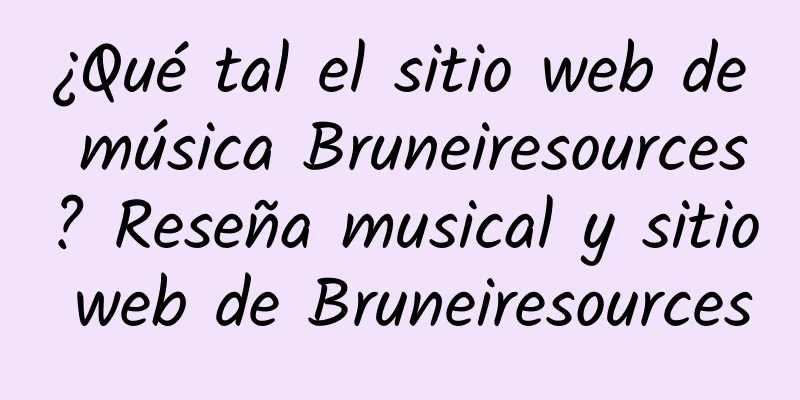¿Qué tal el sitio web de música Bruneiresources? Reseña musical y sitio web de Bruneiresources
