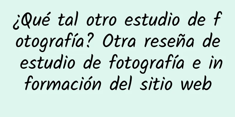 ¿Qué tal otro estudio de fotografía? Otra reseña de estudio de fotografía e información del sitio web