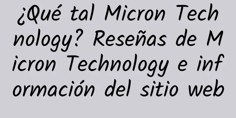 ¿Qué tal Micron Technology? Reseñas de Micron Technology e información del sitio web