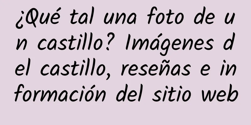 ¿Qué tal una foto de un castillo? Imágenes del castillo, reseñas e información del sitio web