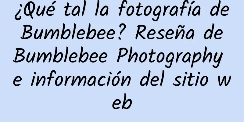 ¿Qué tal la fotografía de Bumblebee? Reseña de Bumblebee Photography e información del sitio web