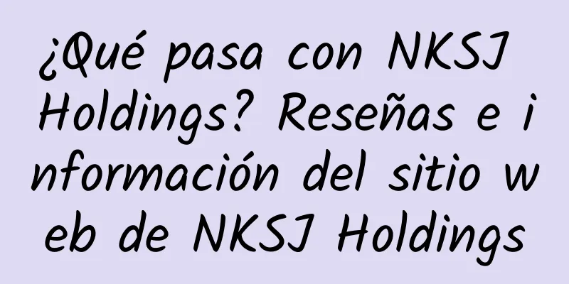 ¿Qué pasa con NKSJ Holdings? Reseñas e información del sitio web de NKSJ Holdings