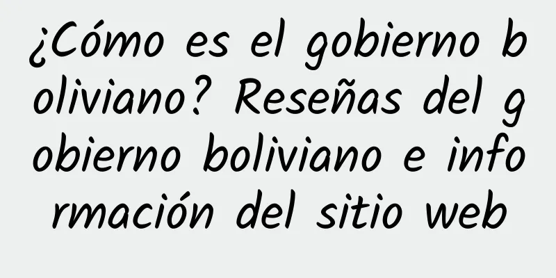 ¿Cómo es el gobierno boliviano? Reseñas del gobierno boliviano e información del sitio web