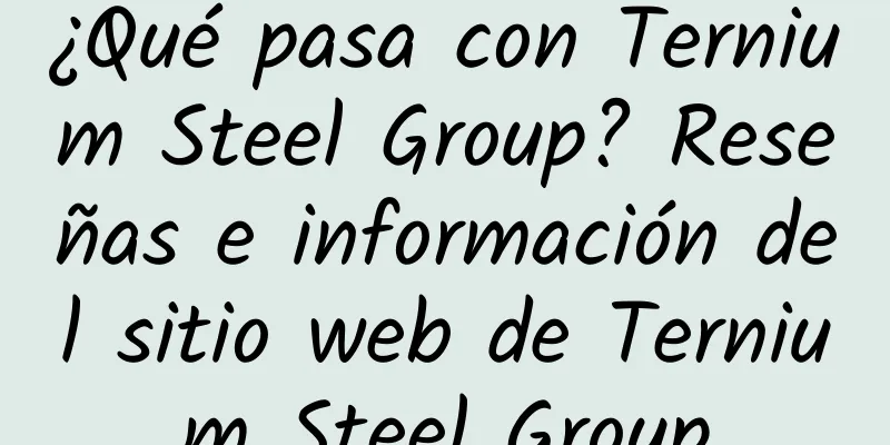 ¿Qué pasa con Ternium Steel Group? Reseñas e información del sitio web de Ternium Steel Group