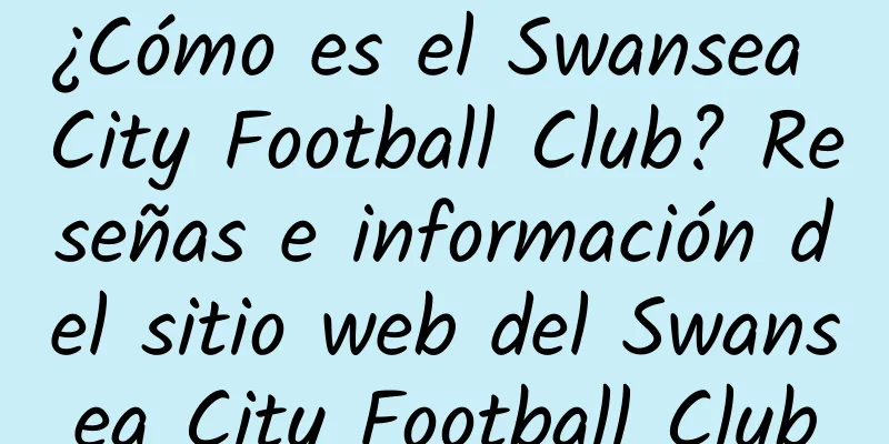 ¿Cómo es el Swansea City Football Club? Reseñas e información del sitio web del Swansea City Football Club