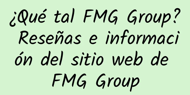 ¿Qué tal FMG Group? Reseñas e información del sitio web de FMG Group
