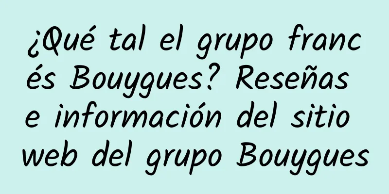 ¿Qué tal el grupo francés Bouygues? Reseñas e información del sitio web del grupo Bouygues