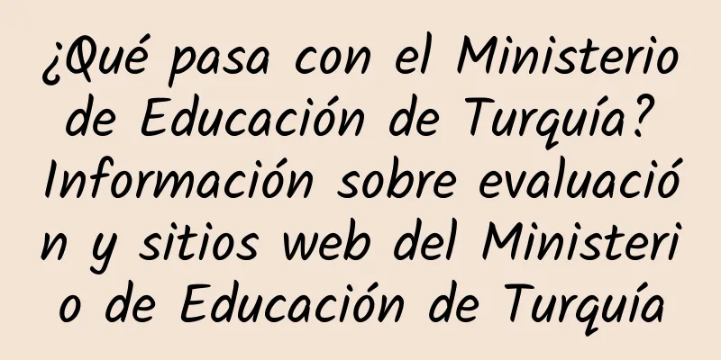 ¿Qué pasa con el Ministerio de Educación de Turquía? Información sobre evaluación y sitios web del Ministerio de Educación de Turquía