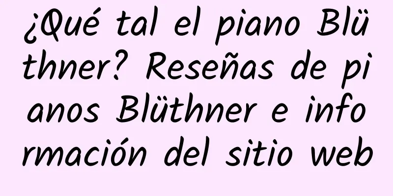 ¿Qué tal el piano Blüthner? Reseñas de pianos Blüthner e información del sitio web