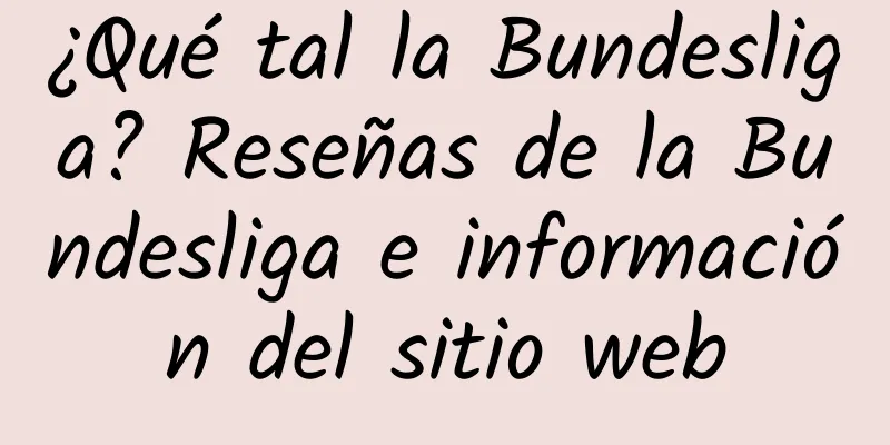 ¿Qué tal la Bundesliga? Reseñas de la Bundesliga e información del sitio web