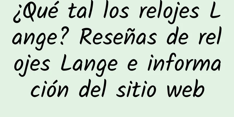 ¿Qué tal los relojes Lange? Reseñas de relojes Lange e información del sitio web