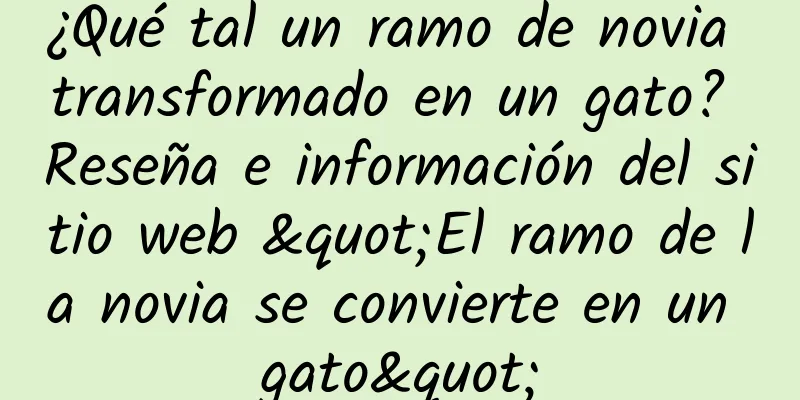¿Qué tal un ramo de novia transformado en un gato? Reseña e información del sitio web "El ramo de la novia se convierte en un gato"