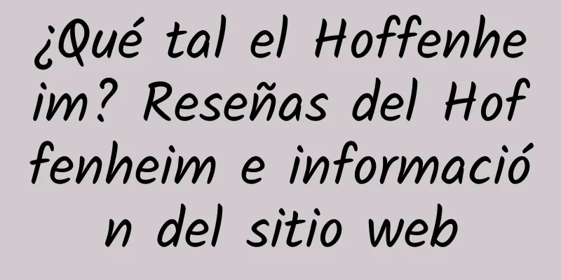 ¿Qué tal el Hoffenheim? Reseñas del Hoffenheim e información del sitio web