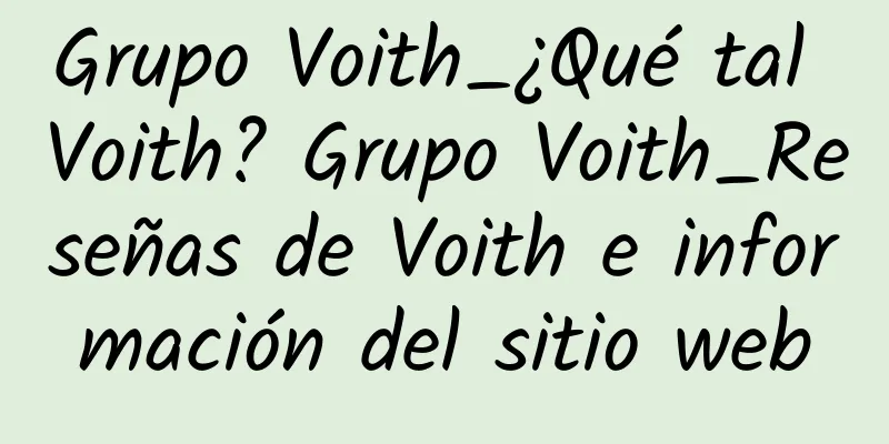 Grupo Voith_¿Qué tal Voith? Grupo Voith_Reseñas de Voith e información del sitio web