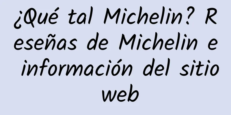 ¿Qué tal Michelin? Reseñas de Michelin e información del sitio web