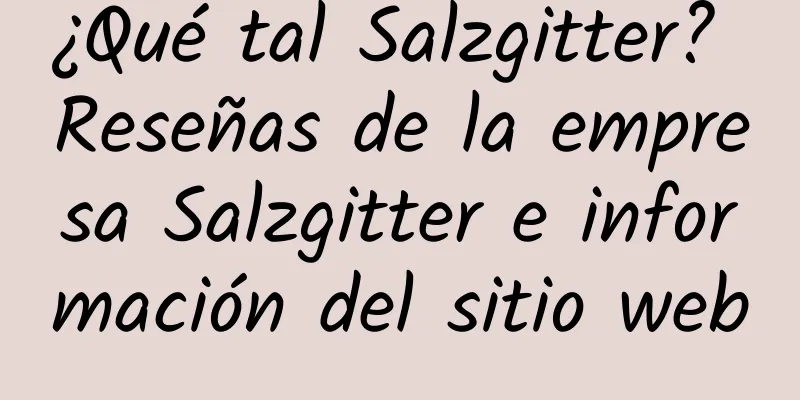 ¿Qué tal Salzgitter? Reseñas de la empresa Salzgitter e información del sitio web