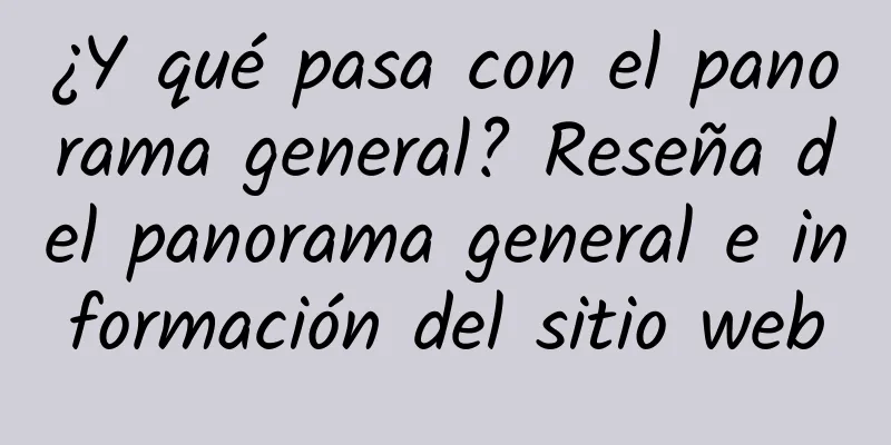 ¿Y qué pasa con el panorama general? Reseña del panorama general e información del sitio web