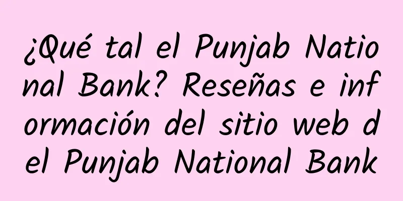 ¿Qué tal el Punjab National Bank? Reseñas e información del sitio web del Punjab National Bank