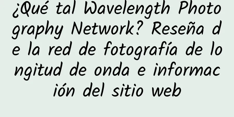 ¿Qué tal Wavelength Photography Network? Reseña de la red de fotografía de longitud de onda e información del sitio web