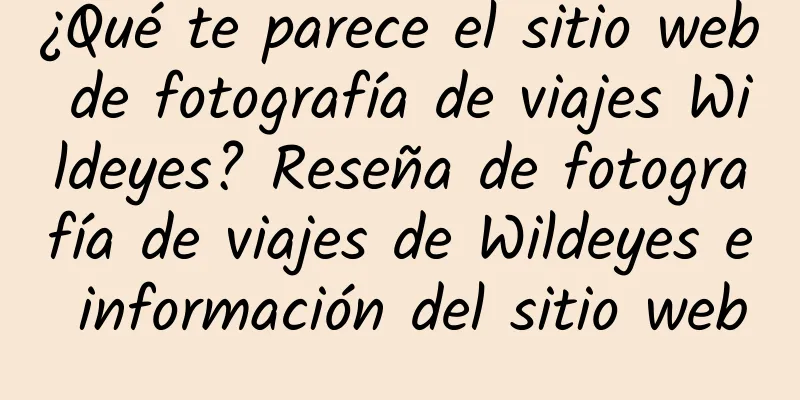 ¿Qué te parece el sitio web de fotografía de viajes Wildeyes? Reseña de fotografía de viajes de Wildeyes e información del sitio web