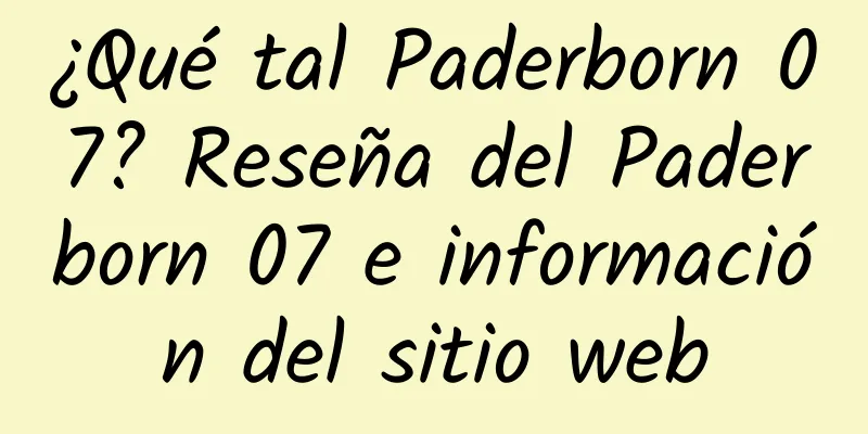 ¿Qué tal Paderborn 07? Reseña del Paderborn 07 e información del sitio web