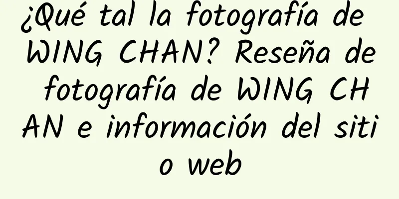 ¿Qué tal la fotografía de WING CHAN? Reseña de fotografía de WING CHAN e información del sitio web