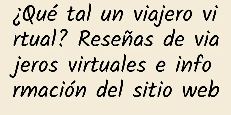 ¿Qué tal un viajero virtual? Reseñas de viajeros virtuales e información del sitio web