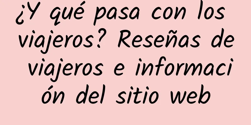 ¿Y qué pasa con los viajeros? Reseñas de viajeros e información del sitio web