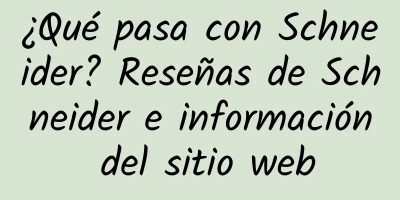 ¿Qué pasa con Schneider? Reseñas de Schneider e información del sitio web