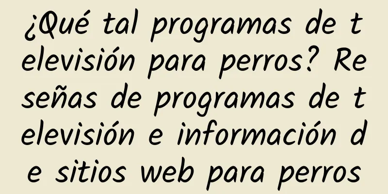 ¿Qué tal programas de televisión para perros? Reseñas de programas de televisión e información de sitios web para perros